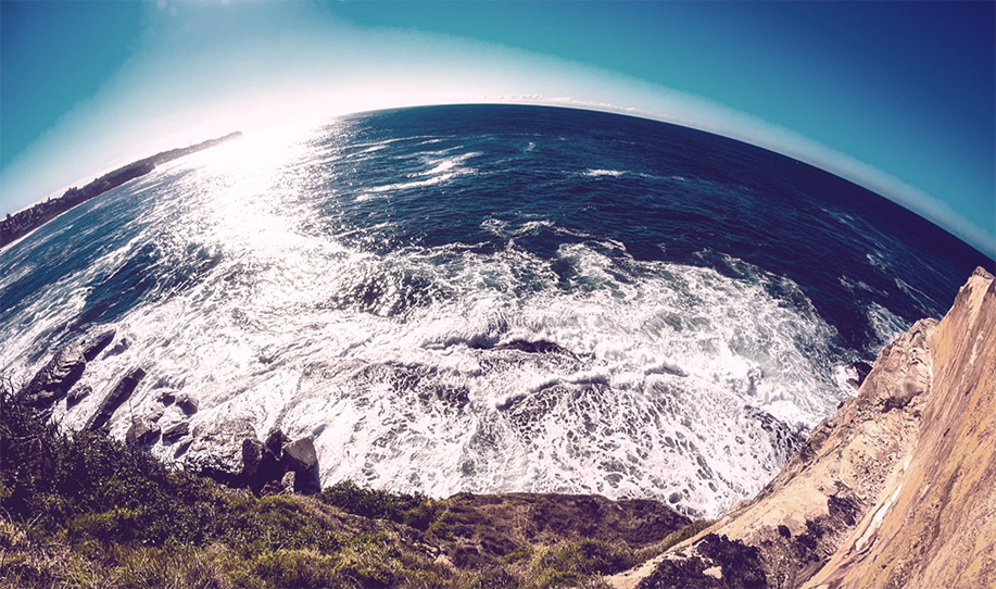 A brain made of thought bubbles